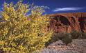 RWT 0088 093-09 Australia Ayers 2